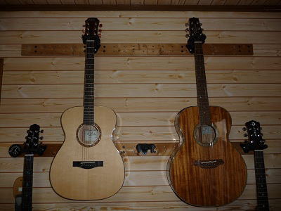 アコギ ARIA ADF-CST