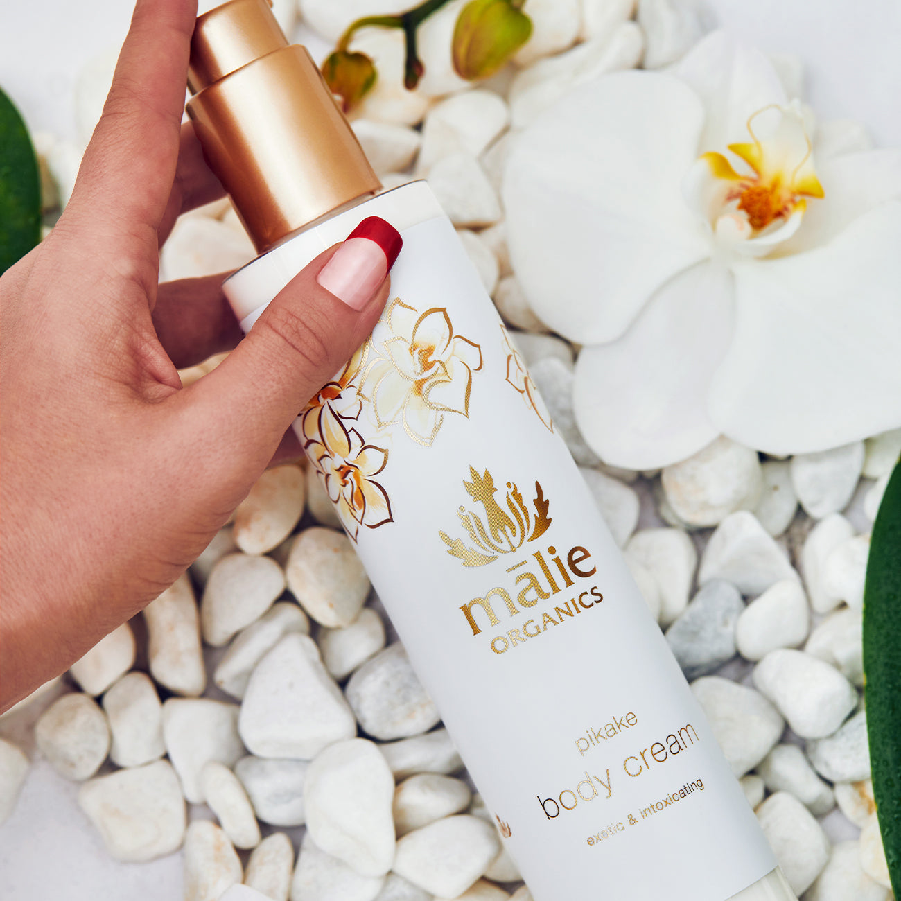 ボディクリーム Pikake – Malie Organics