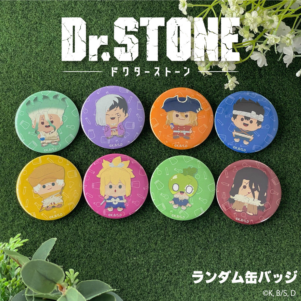 Dr.STONE ランダム缶バッジ｜公式監修グッズ | アニメーク