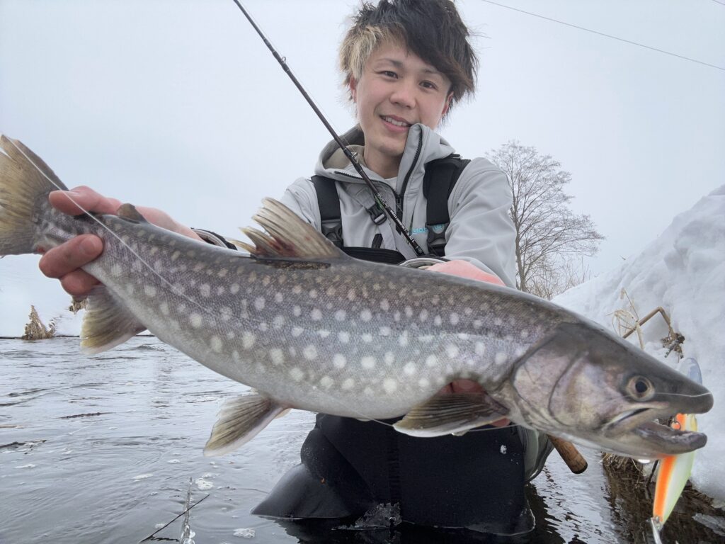 リンバー115S・ラザミン90】希少ルアーが続々入荷！ - 道東の釣りなら