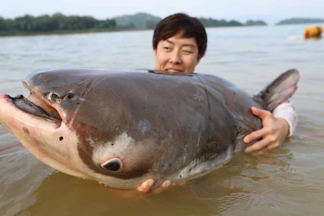 続・しげるの世界旅行釣行記（Vol.1 プロローグ編） – BRECOL