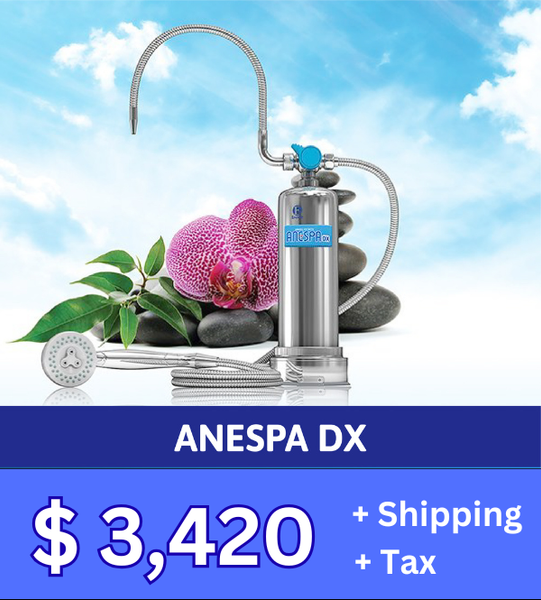 ANESPA DX – Kangenwave
