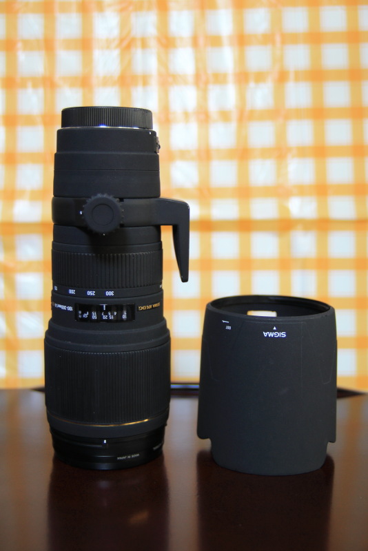 純正にはない100-300mmF4通しのすごいズームレンズ | ディズニーと写真