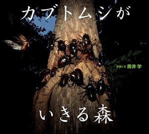 児童書 昆虫・自然・生き物（絵本・写真絵本）