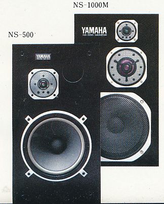 NS-500