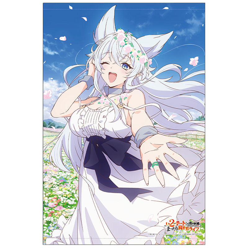 Blu-ray BOX＆DVD BOX | TVアニメ「Lv2からチートだった元勇者候補の