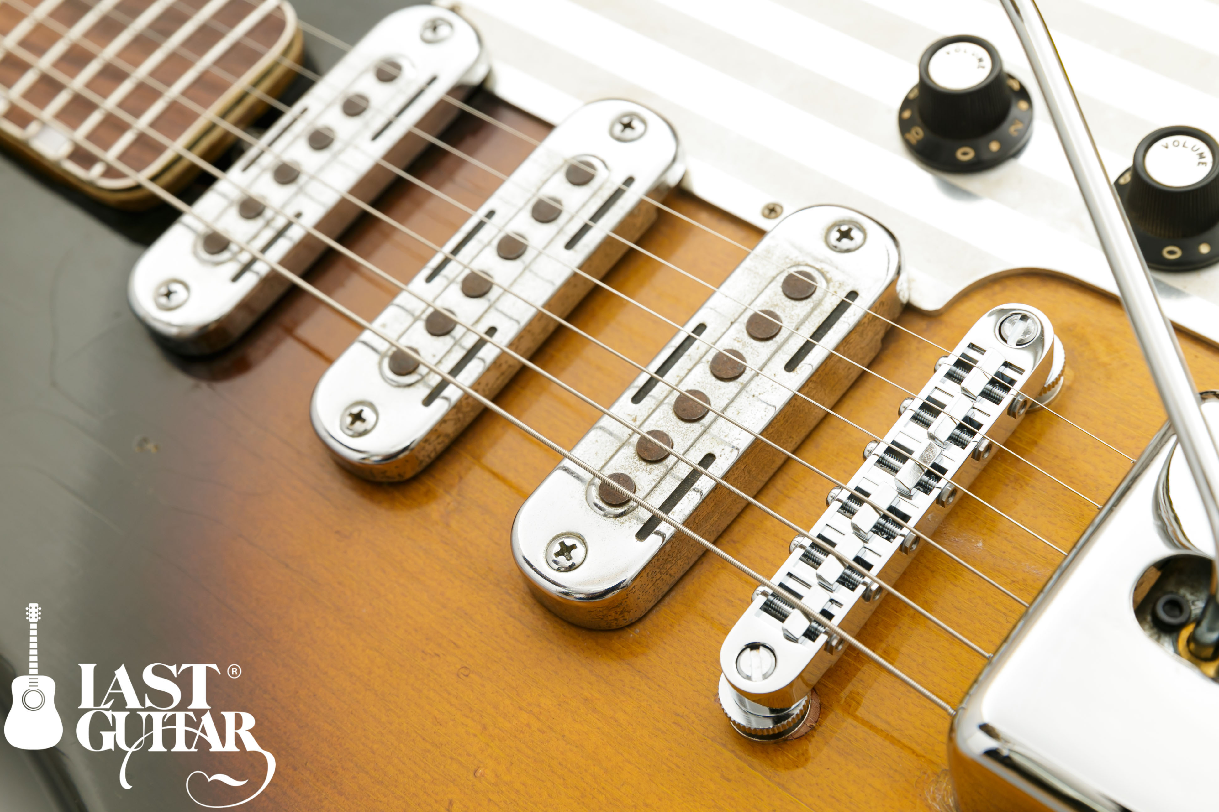 Teisco WG-3L Reborn Custom By Humpback Engineering ジャパン