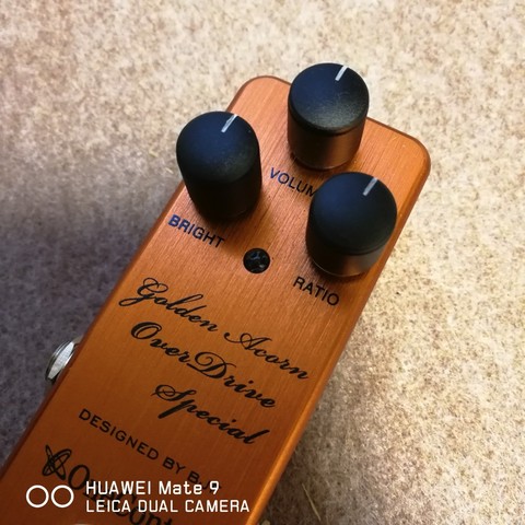 ダンブル系オーバードライブ 入手。 : 今日のごきげんはいかが？