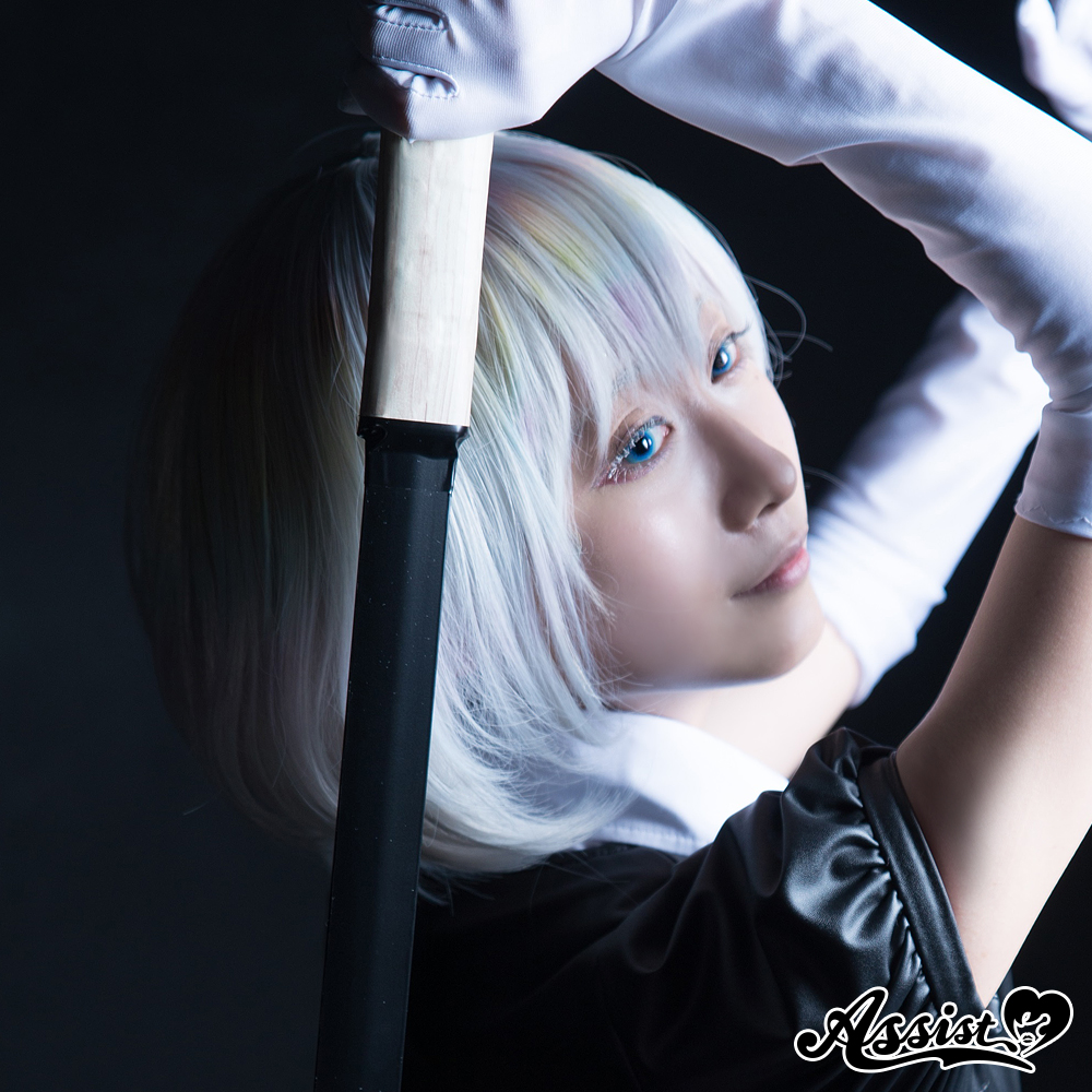 Premiumウィッグ ホワイトシルバー 60 | アシストウィッグ STAFF BLOG