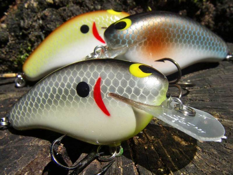 ロンイービー ベビーピッグ RonEBee ベビーピッグ ロンイービー