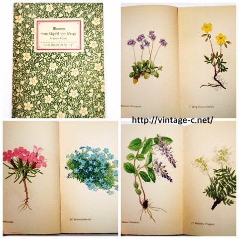 ○ドイツの高山植物図鑑のヴィンテージ洋書☆インゼル文庫 | 海外の