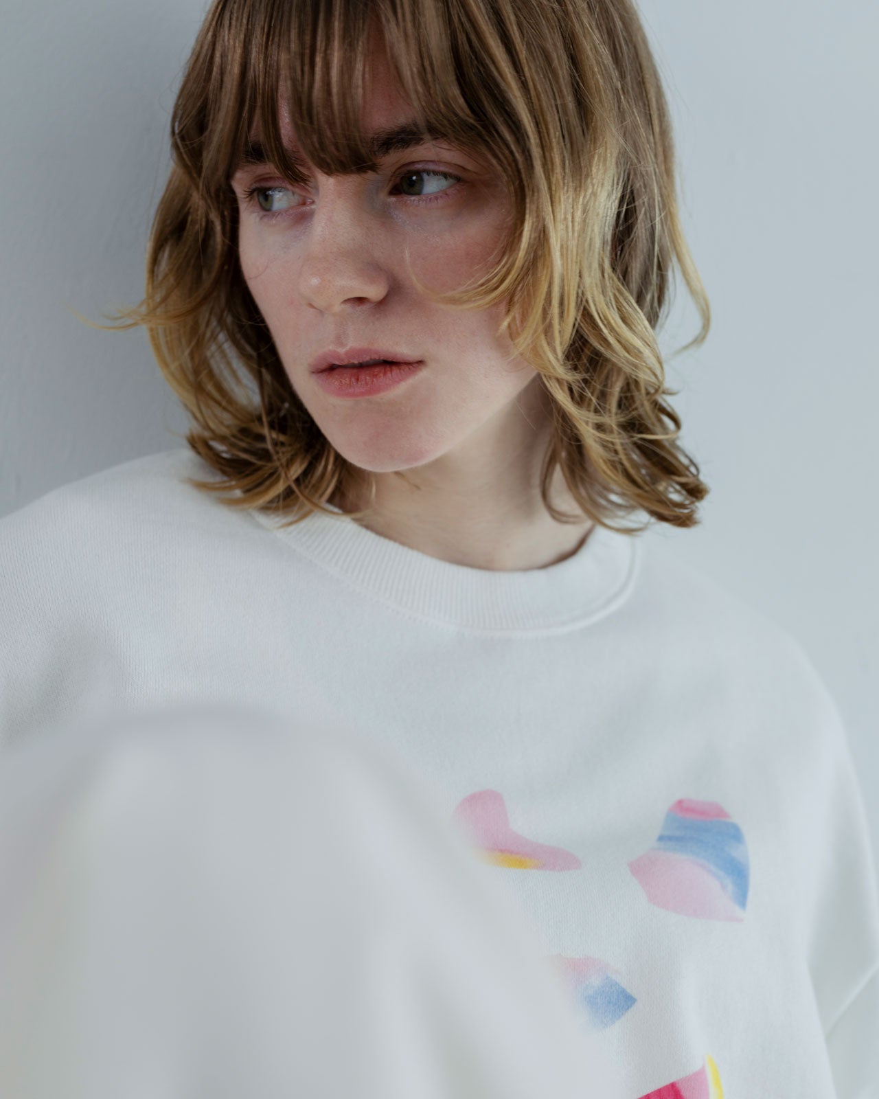 MEYAME】PRINT SWITCHING PATTERN SWEAT – Shinzone