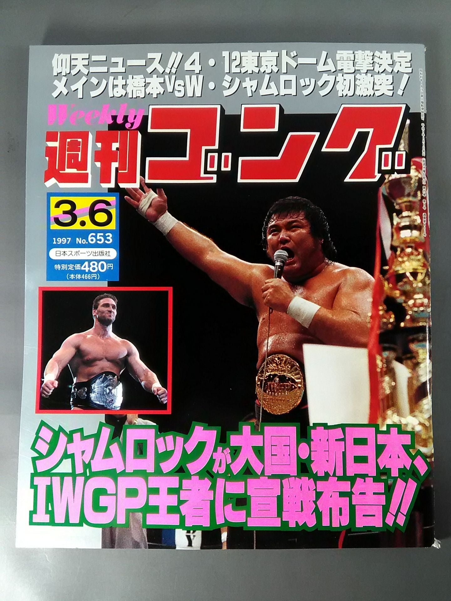 週刊ゴング653 – 闘道館
