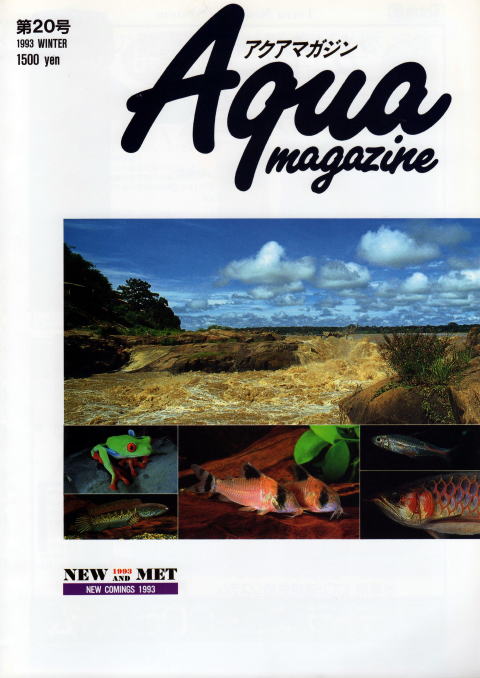 豊橋アマゾン 書籍