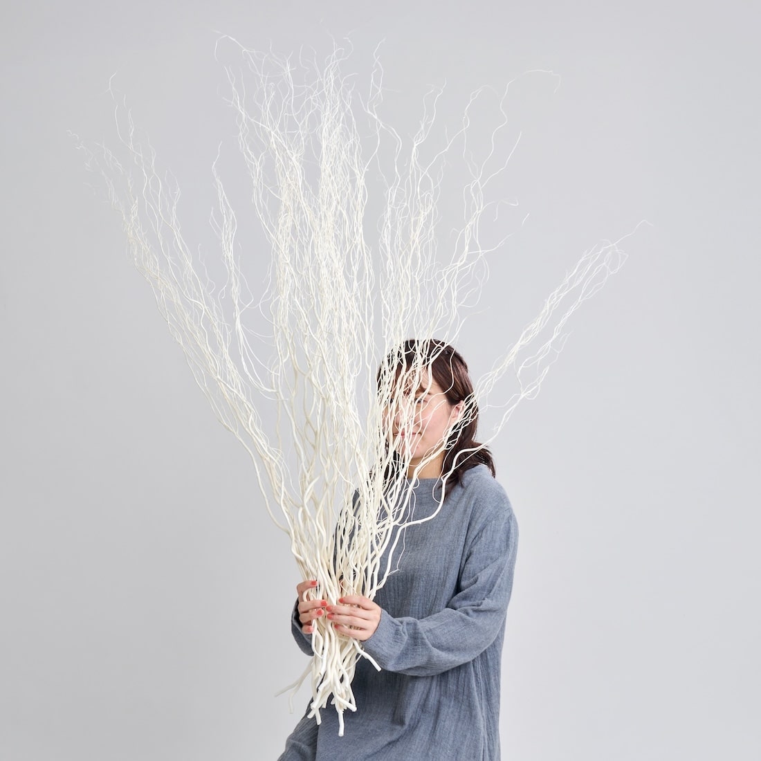 BIGボタニカル｜ドライ］雲竜柳 ホワイト 100-120cm 商品ページ - 土と