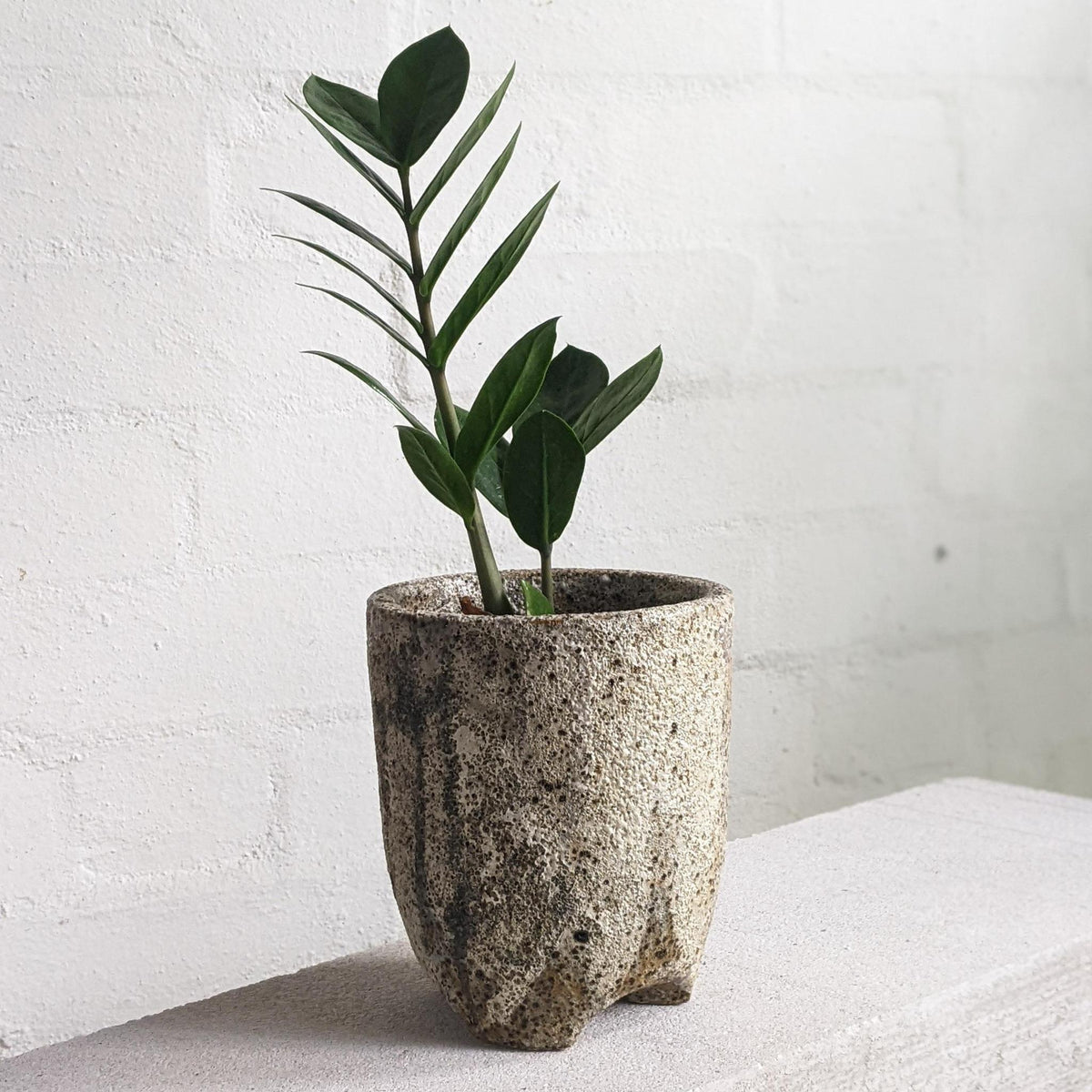 19d4e58506381a4d03060a1248b451