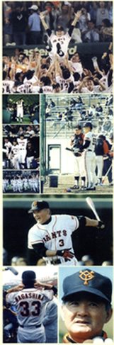 限定】21世紀への伝説史 長嶋茂雄 DVD3巻セット | DVD販売 | トップ