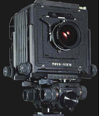 トヨ of ワイズクリエイト