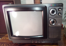 アンティークショップ：さがみ珍古堂、TV