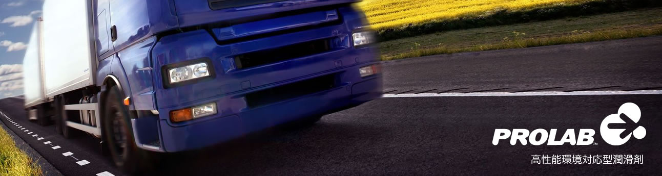 PROLAB TCC-0710本 触媒コンバーター添加剤 100ml PROLAB | TCC-07