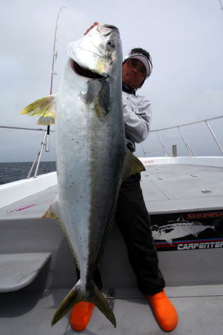 ジギングロッド ブリ ヒラマサ