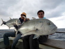 コーラル バイパー CV GTロッド