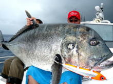 コーラル バイパー CV GTロッド