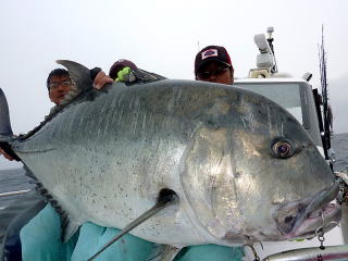 コーラル バイパー CV GTロッド