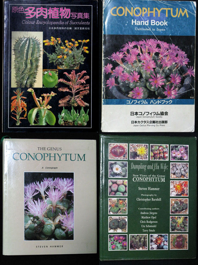 参考書・文献 of コノフィツムの世界