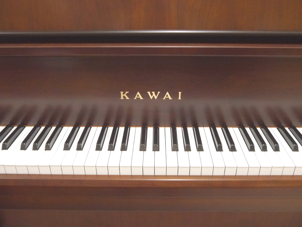KAWAI BL-71 - 第一楽器株式会社