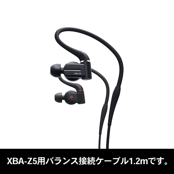 SONY XBA-Z5用 バランス接続ケーブル【184861111】 – e☆イヤホン