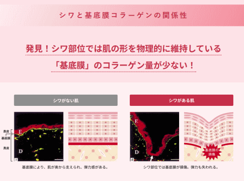 ONE BY KOSE ワンバイコーセー ザ リンクレスW＜医薬部外品＞販売