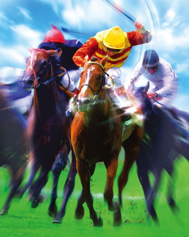 Champion Jockey Special | ゲーム | コーエーテクモゲームス