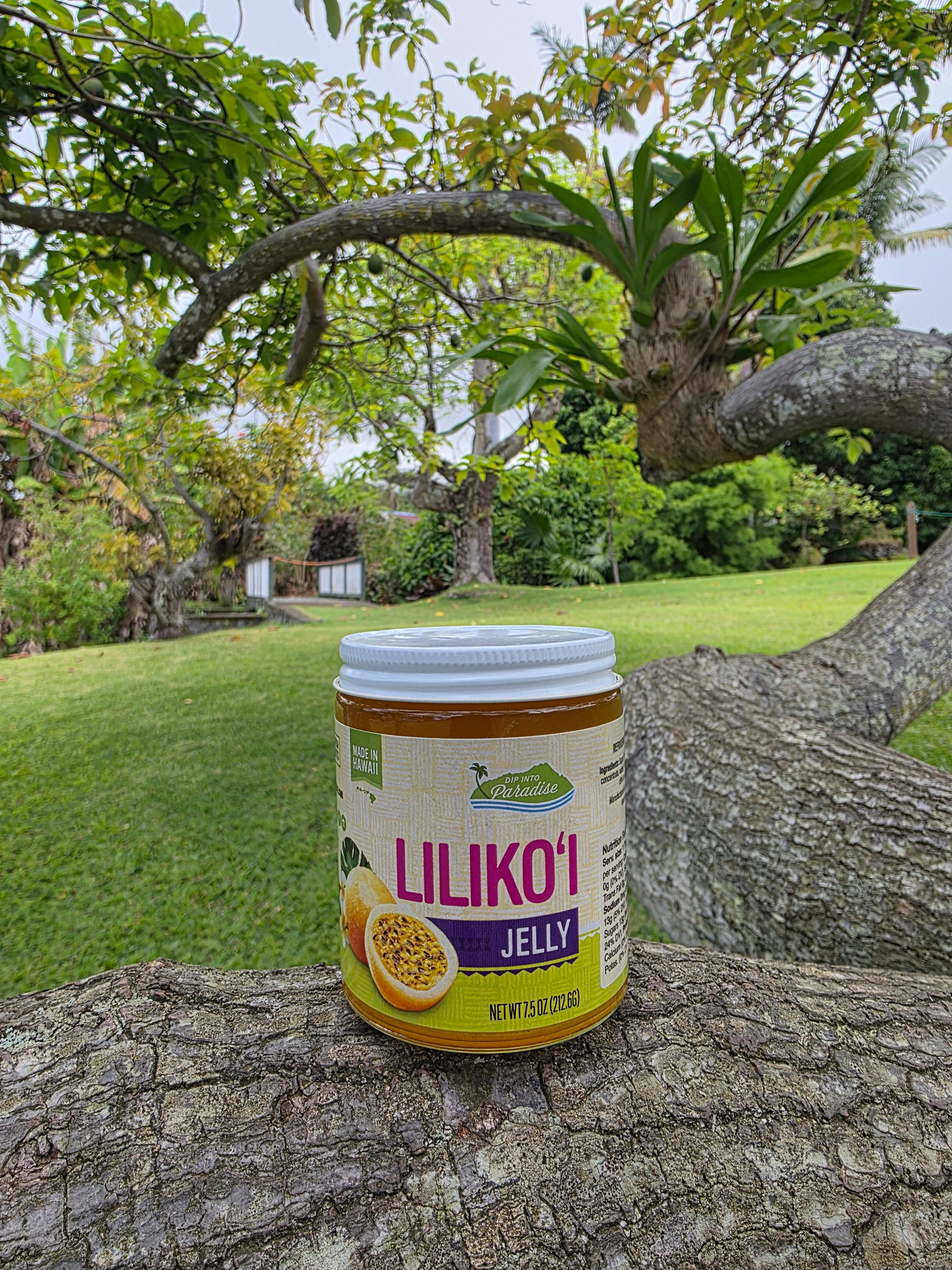 100% Hawaiian Lilikoi Jelly by Dip Into Paradise – Greenwell Farms