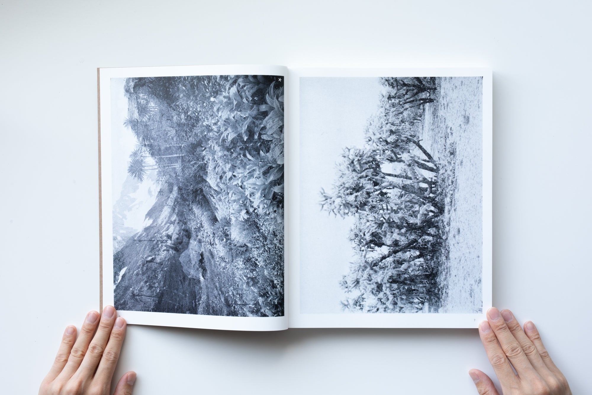 Hexamiles (Mont-Voisin) by Batia Suter – IACK