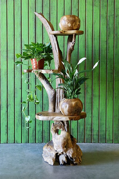 Harini Driftwood Stand with Teak Shelves | MapleNest