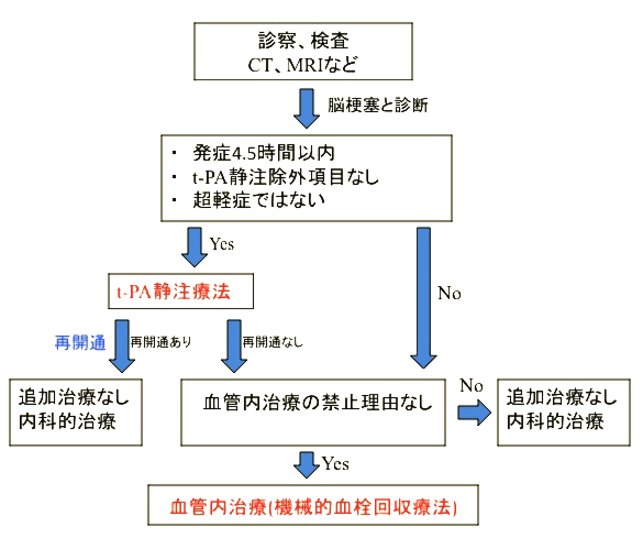 脳血管内治療部-警察病院 脳神経外科・脳卒中センター