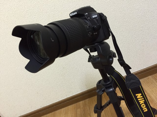 レビュー】AF-S DX NIKKOR 18-140mm f/3.5-5.6G ED VRは普段使いに最適