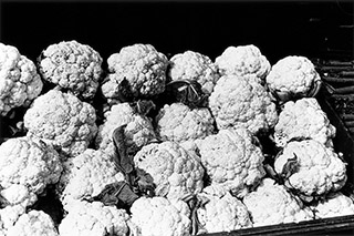 中平卓馬『サーキュレーション－－日付、場所、行為』