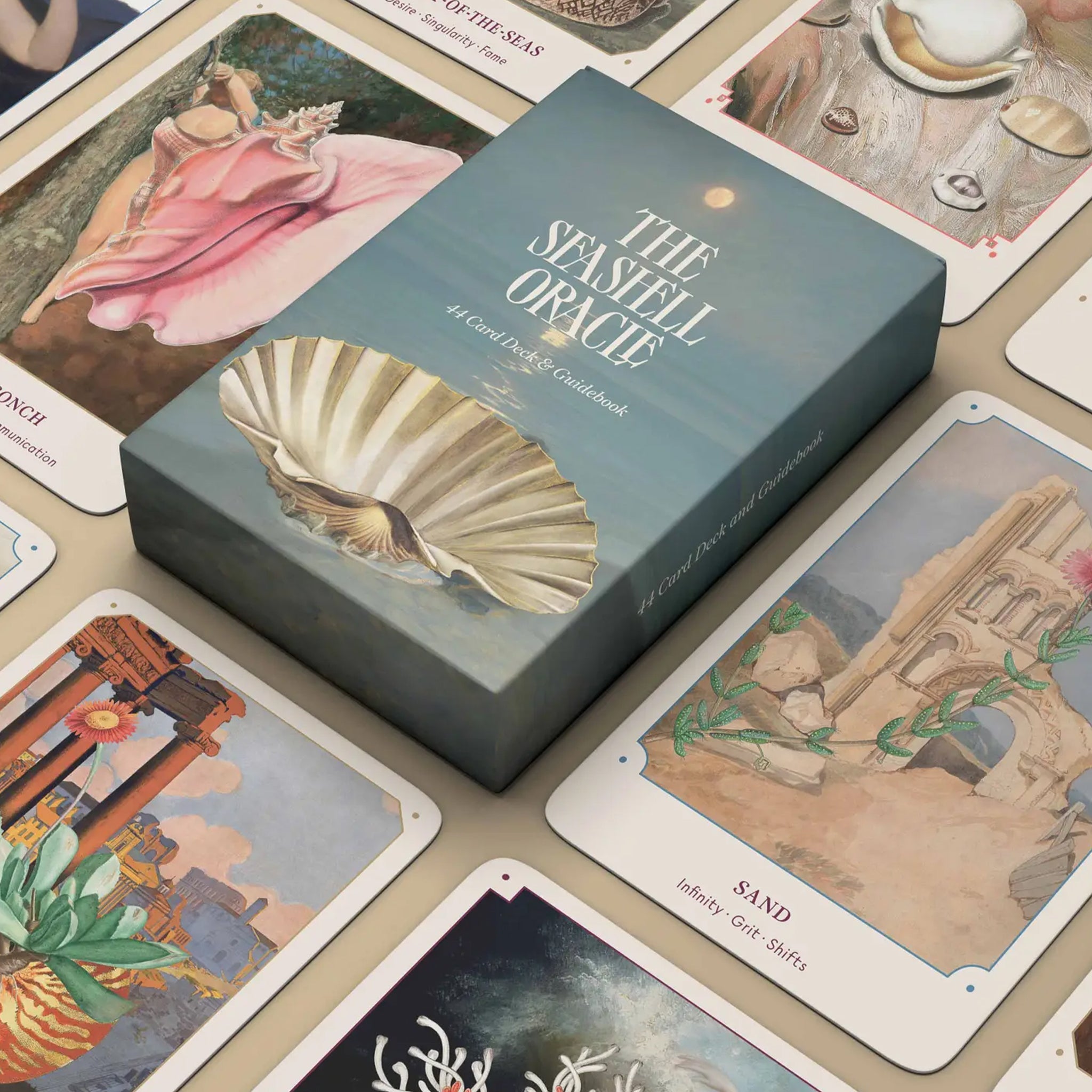 Seashell Oracle Card Deck 44 Cards - Divination Cards | Pigment