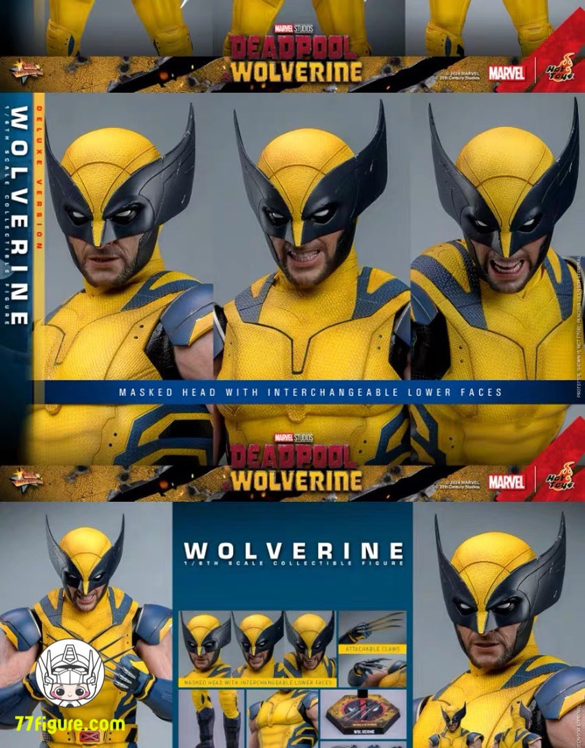 Hot Toys 1/6 MMS753 『デッドプール＆ウルヴァリン』ウルヴァリン