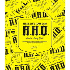 SKY-HI／SKY-HI Tour 2017 Final “WELIVE” in BUDOKAN【DVD2枚組