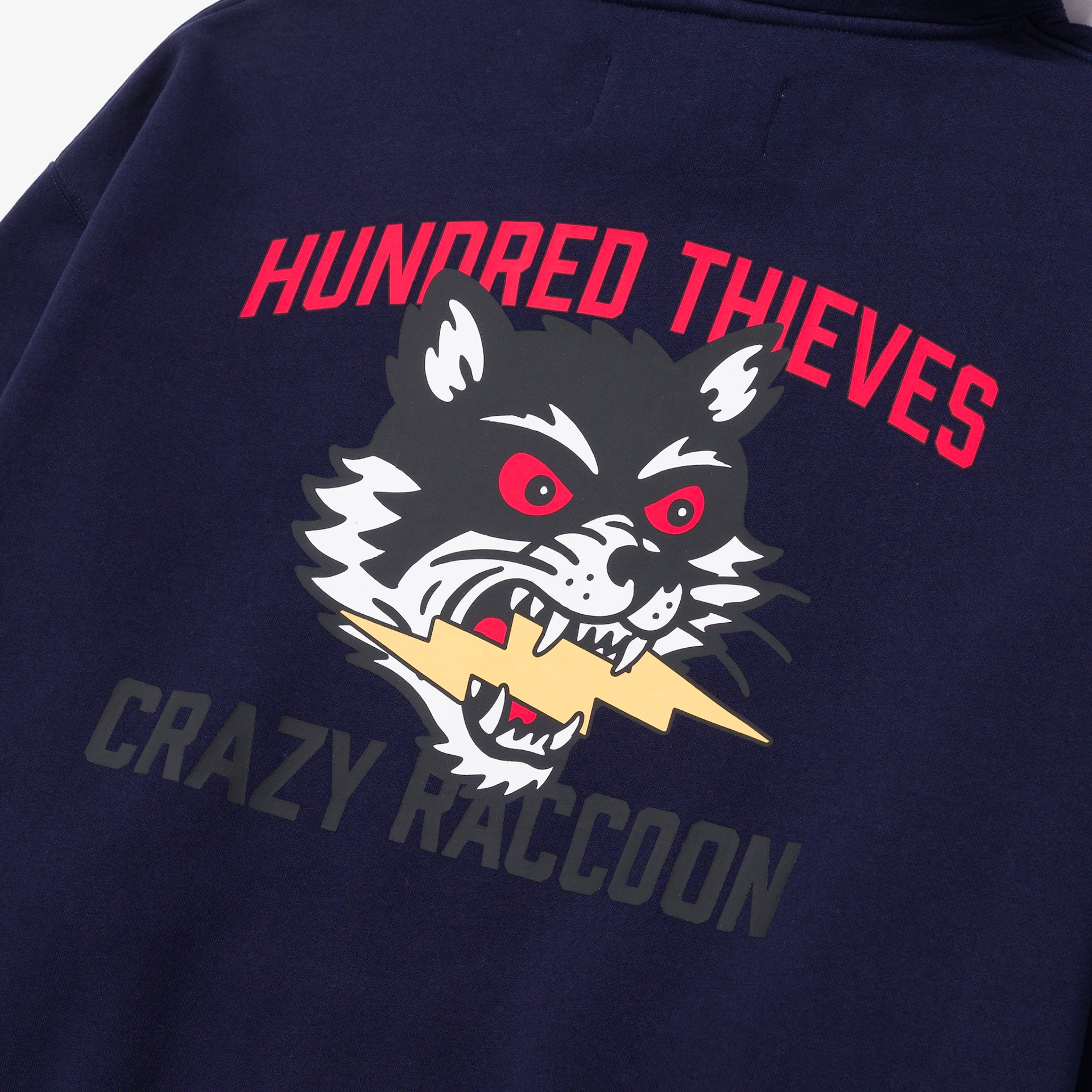 CR X 100T LA to Tokyo Hoodie