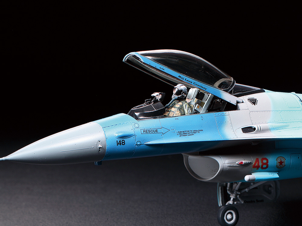 1/48 F-16C/N 「アグレッサー/アドバーサリー」: スケールモデル