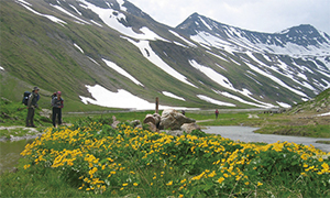 モンブラン山群一周 「ツール・ド・モンブラン」 10日間 - 海外の登山