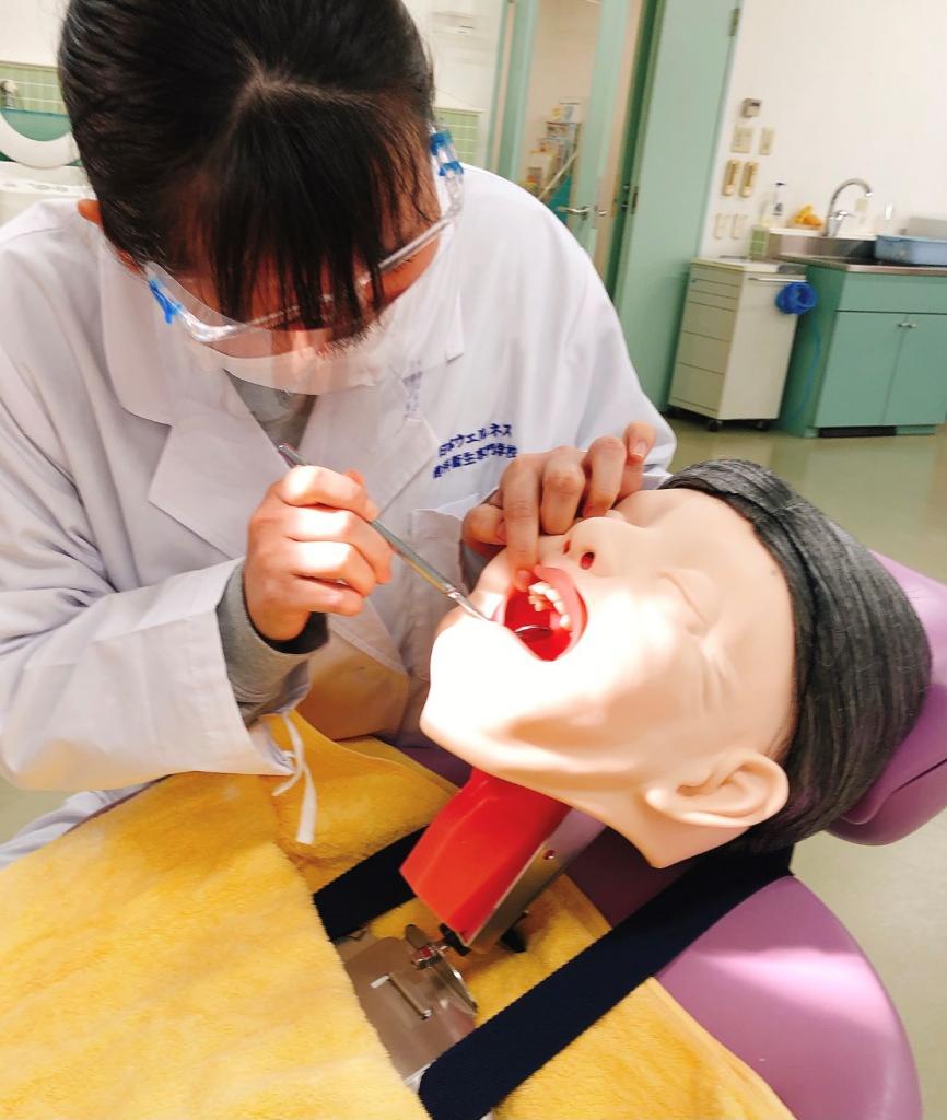 楽しく学ぶ♪ 口腔機能管理模型を使った高齢者口腔ケア実習 - 日本