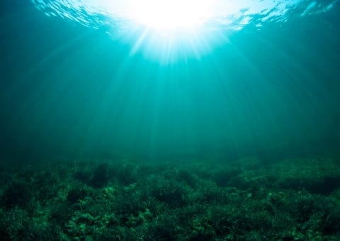 タラサ ジュール｜TALASSA JOUR｜スキンケア化粧品