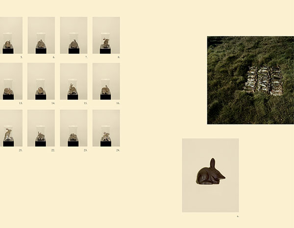 A Living Man Declared Dead