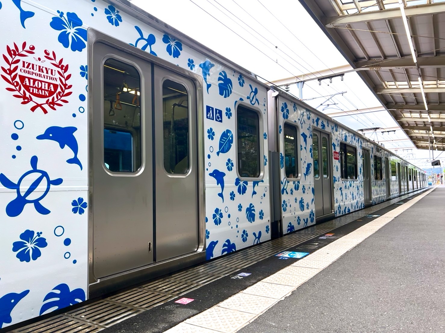 お披露目レポ】伊豆急行3000系「アロハ電車」 | 話題 | 鉄道新聞