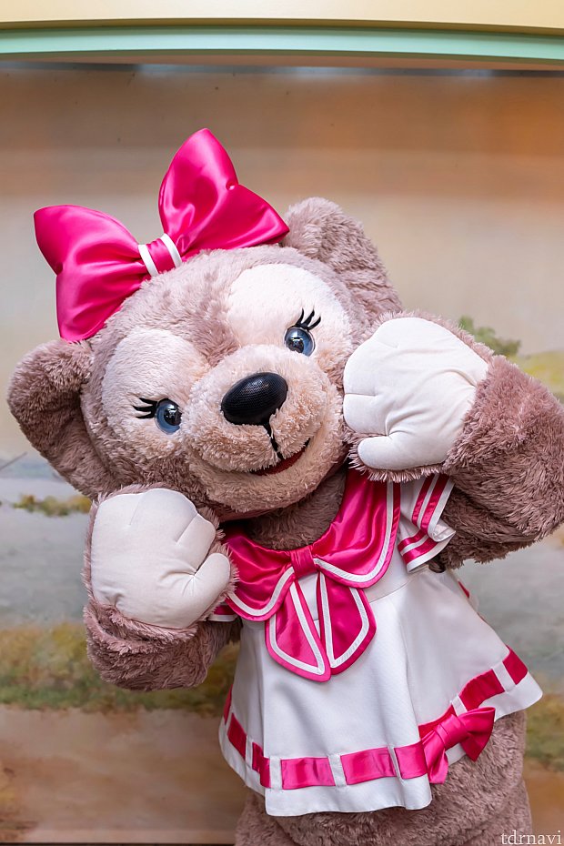 朝から晩までシェリーメイに会えるようになりました☆ | ヴィレッジ